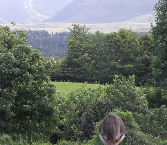 Carriglea House 3* 基拉尼